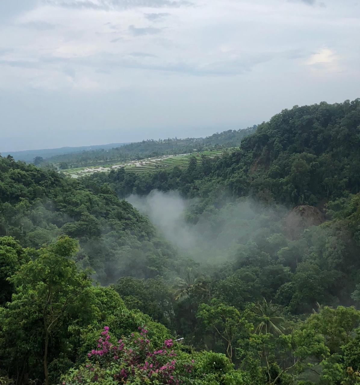 Pondok Senaru Cottages المظهر الخارجي الصورة